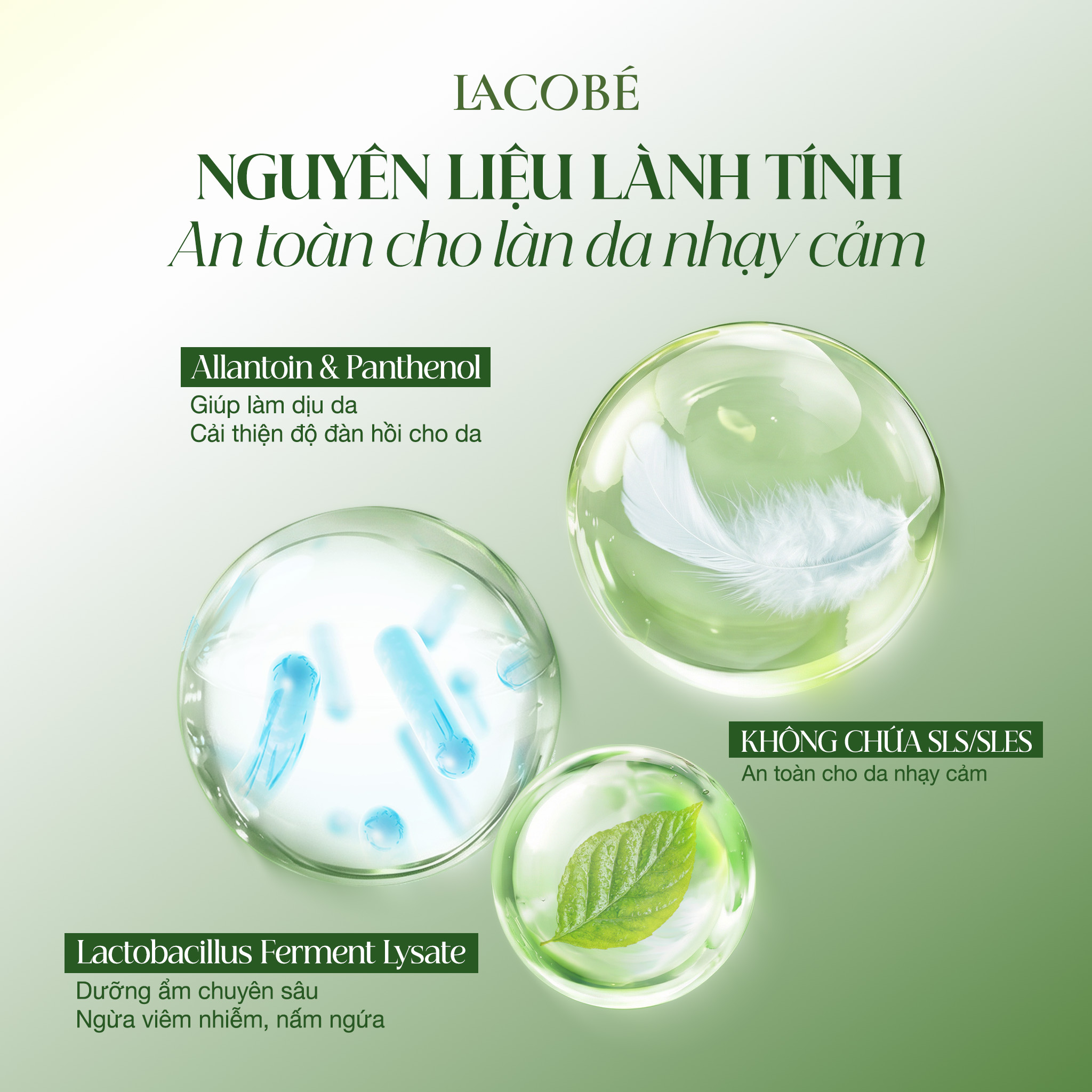 Có phải bạn đang tìm kiếm một sản phẩm không chỉ làm sạch mà còn là cảm giác được vỗ về 