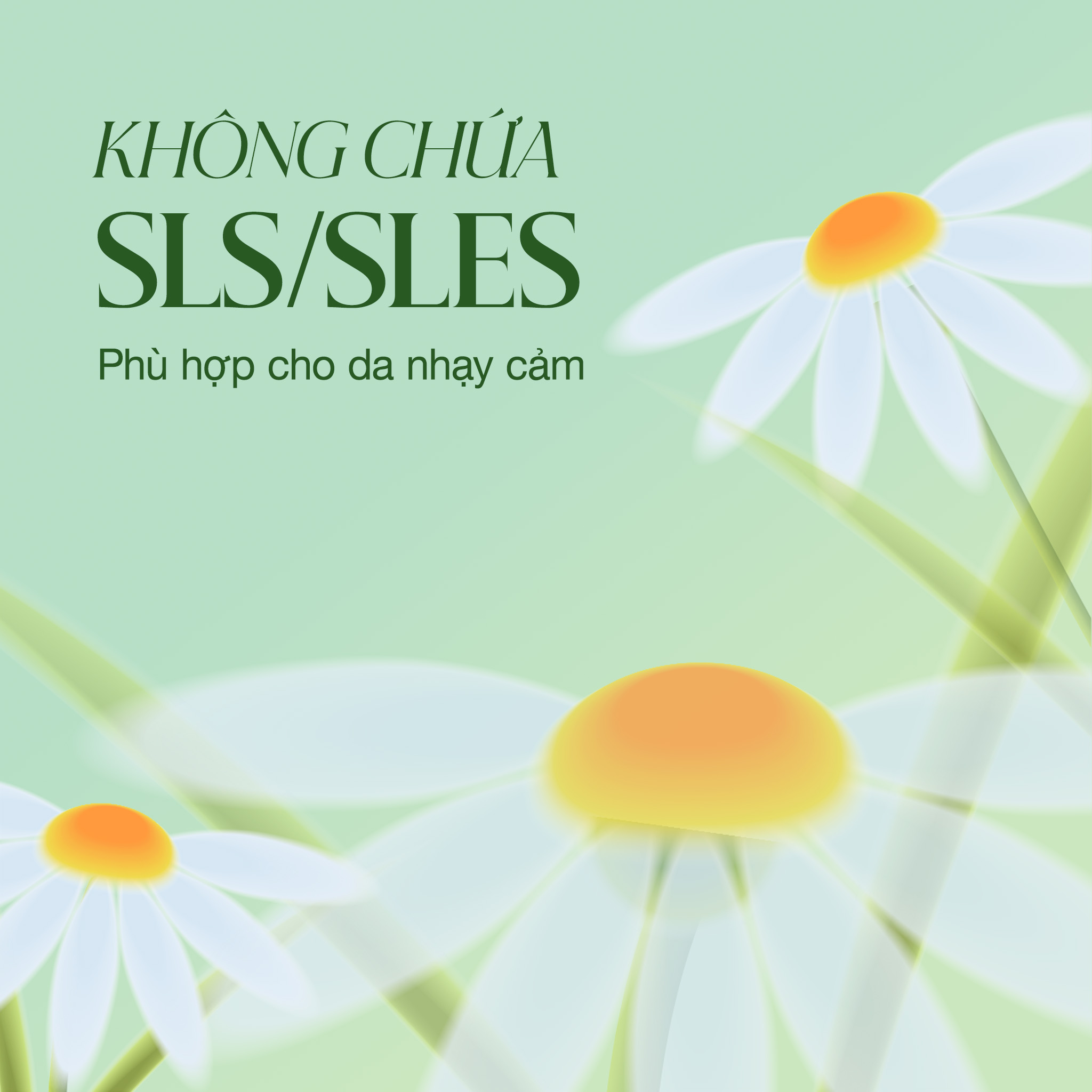 CÂU CHUYỆN THƯƠNG HIỆU  